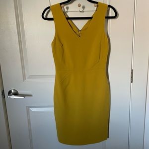 Banana Republic Goldenrod Fitted Dress